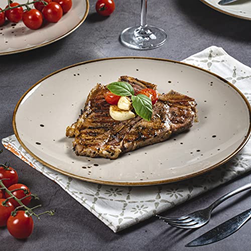 Dinner Plates (11 in), Natural Assorted Colors – Set of 6 - Esfour Ceramics
